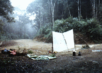 Lichtfanganlage auf Samosir/Sumatra 1991